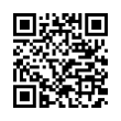 QR Code (код быстрого отклика)