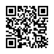 QR Code (код быстрого отклика)