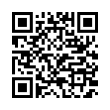 QR Code (код быстрого отклика)