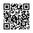 QR Code (код быстрого отклика)