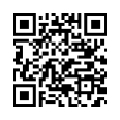 QR Code (код быстрого отклика)