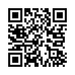 QR Code (код быстрого отклика)
