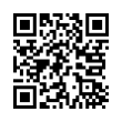 QR Code (код быстрого отклика)