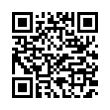 QR Code (код быстрого отклика)