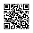 QR Code (код быстрого отклика)