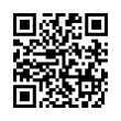 QR Code (код быстрого отклика)