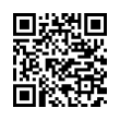 QR Code (код быстрого отклика)