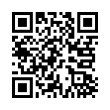 QR Code (код быстрого отклика)