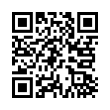 QR Code (код быстрого отклика)