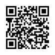 QR Code (код быстрого отклика)