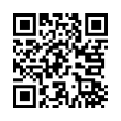 QR Code (код быстрого отклика)