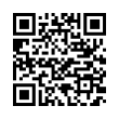 QR Code (код быстрого отклика)