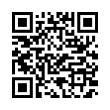 QR Code (код быстрого отклика)