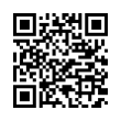 QR Code (код быстрого отклика)