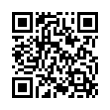 QR Code (код быстрого отклика)