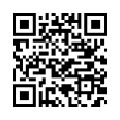 QR Code (код быстрого отклика)