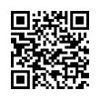 QR Code (код быстрого отклика)