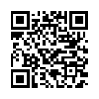 QR Code (код быстрого отклика)