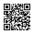 QR Code (код быстрого отклика)