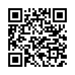 QR Code (код быстрого отклика)