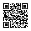 QR Code (код быстрого отклика)
