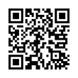 QR Code (код быстрого отклика)