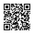 QR Code (код быстрого отклика)