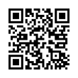 QR Code (код быстрого отклика)