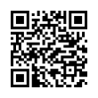 QR Code (код быстрого отклика)