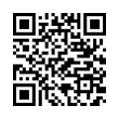 QR Code (код быстрого отклика)