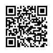 QR Code (код быстрого отклика)