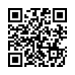 QR Code (код быстрого отклика)