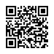 QR Code (код быстрого отклика)