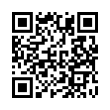 QR Code (код быстрого отклика)