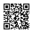 QR Code (код быстрого отклика)