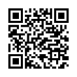 QR Code (код быстрого отклика)