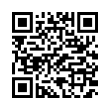 QR Code (код быстрого отклика)