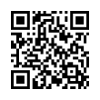 QR Code (код быстрого отклика)