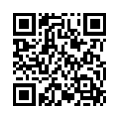 QR Code (код быстрого отклика)