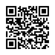 QR Code (код быстрого отклика)