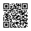 QR Code (код быстрого отклика)