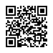 QR Code (код быстрого отклика)