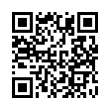 QR Code (код быстрого отклика)