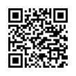 QR Code (код быстрого отклика)