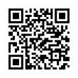 QR Code (код быстрого отклика)