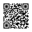 QR Code (код быстрого отклика)