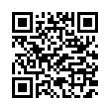 QR Code (код быстрого отклика)