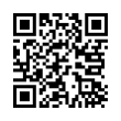 QR Code (код быстрого отклика)