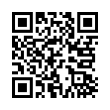 QR Code (код быстрого отклика)