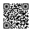 QR Code (код быстрого отклика)